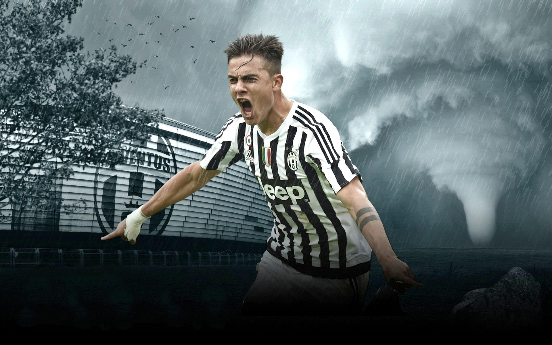 明示洗牌 明示洗牌